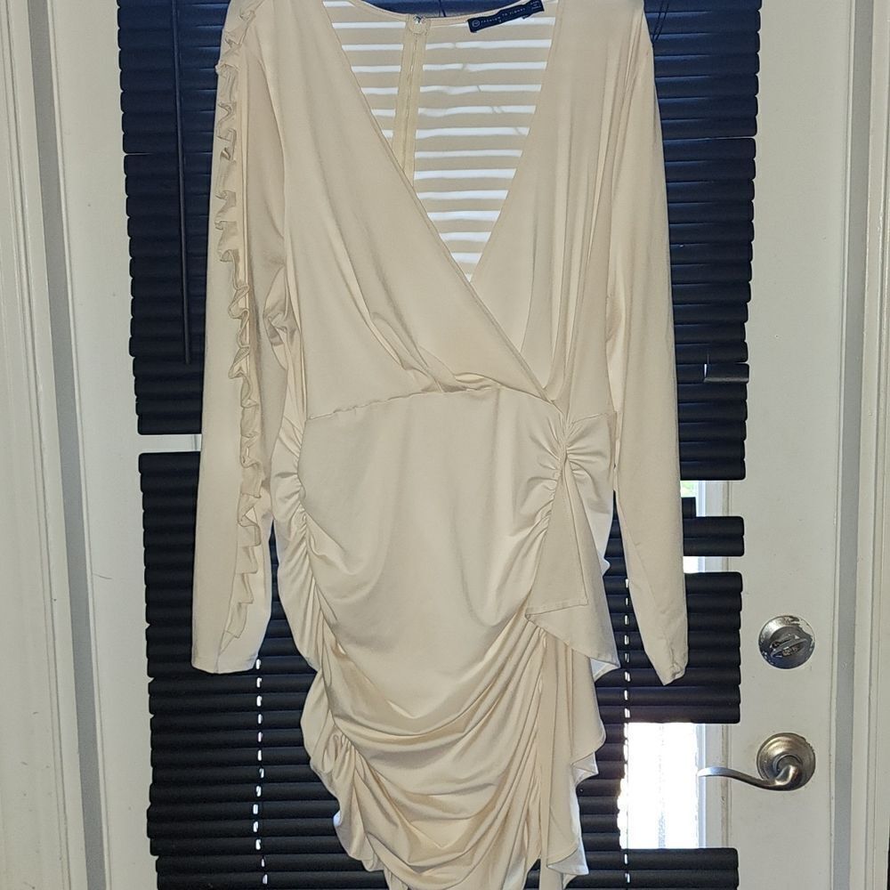 Fashion To Figure Dress